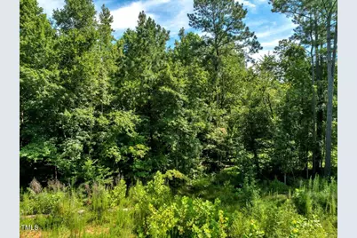 5310 Langdon Drive, Oxford, NC 27565 - Photo 5