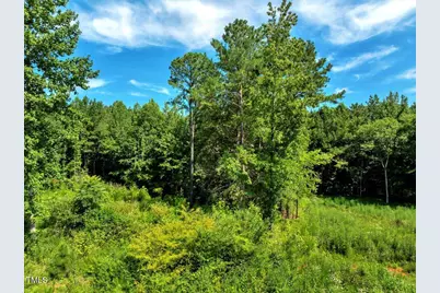 5310 Langdon Drive, Oxford, NC 27565 - Photo 7