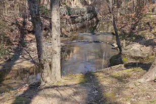 4209 Quail Hollow Dr, Raleigh, NC 27609 - Photo 19