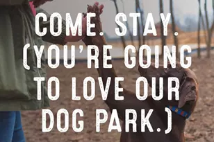 1753 Birdhaven Ln, Wendell, NC 27591 - Photo 51