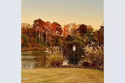 1013 Black River Drive, Zebulon, NC 27597 - Photo 53