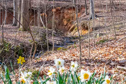 8309 Ashwood Drive, Raleigh, NC 27603 - Photo 97