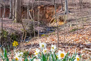 8309 Ashwood Dr, Raleigh, NC 27603 - Photo 97