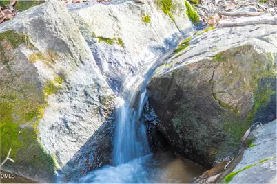 8309 Ashwood Drive, Raleigh, NC 27603 - Photo 95