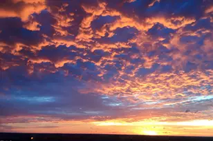 301 Fayetteville St, Raleigh, NC 27601 - Photo 27