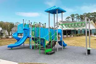 1328 Curlyleaf Wy, Apex, NC 27502 - Photo 53