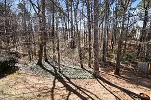 2010 Charlion Downs Ln, Apex, NC 27502 - Photo 43