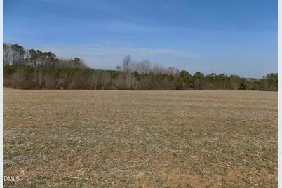 0000 Sutton Road, Louisburg, NC 27549 - Photo 3