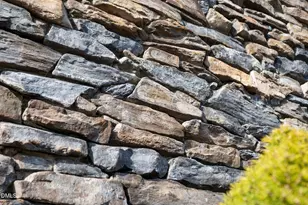 5223 Center Church Rd, Sanford, NC 27330 - Photo 43