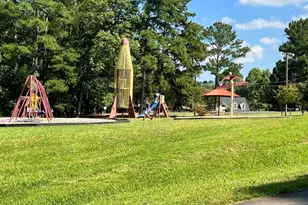 117 Deer Cross Dr, Louisburg, NC 27549 - Photo 37