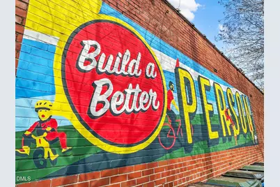 205 Plainview Avenue, Raleigh, NC 27604 - Photo 35