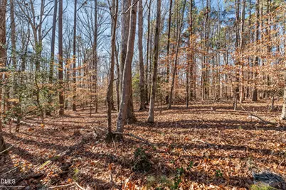 0 Round Fish Drive, Sanford, NC 27330 - Photo 3