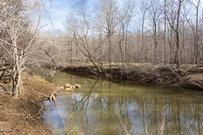 1513 Mayapple Lane, Hillsborough, NC 27278 - Photo 57