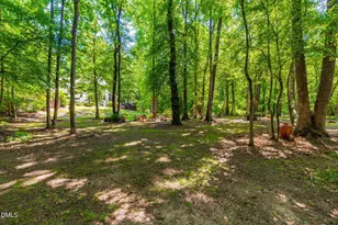 170 Walker Run, Selma, NC 27576 - Photo 57