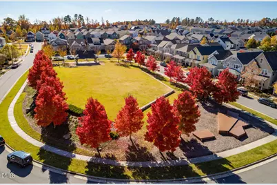 254 Deardom Way, Chapel Hill, NC 27516 - Photo 47