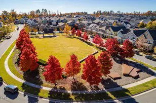 254 Deardom Wy, Chapel Hill, NC 27516 - Photo 47