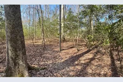 2046 Treetop Circle, Sanford, NC 27332 - Photo 7