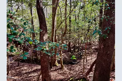 2046 Treetop Circle, Sanford, NC 27332 - Photo 5