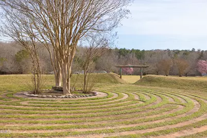 1009 Starfield Circle, Hillsborough, NC 27278 - Photo 61