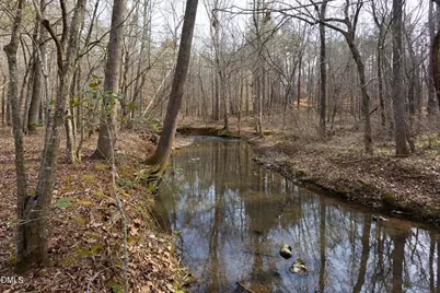 1009 Starfield Circle, Hillsborough, NC 27278 - Photo 55
