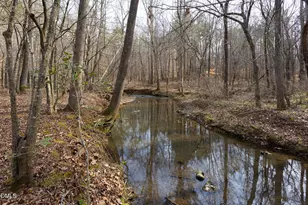 1009 Starfield Cir, Hillsborough, NC 27278 - Photo 55
