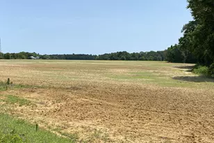 2200 Jonesboro Rd, Dunn, NC 28334 - Photo 1