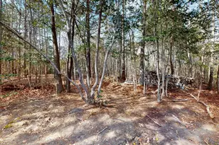 111 Shagbark Ln, Zebulon, NC 27597 - Photo 51