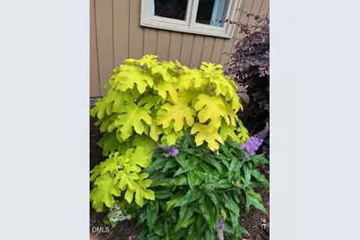 717 Tanglebrook Way, Raleigh, NC 27615 - Photo 29