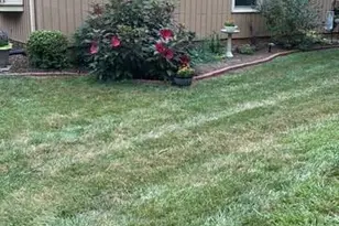 717 Tanglebrook Way, Raleigh, NC 27615 - Photo 27