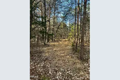 11.05 Acre Elmore Road, Leasburg, NC 27291 - Photo 5