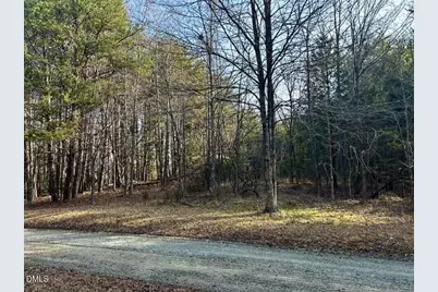 11.05 Acre Elmore Road, Leasburg, NC 27291 - Photo 3