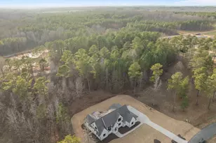 92 Bluffside Ct, Pittsboro, NC 27312 - Photo 53