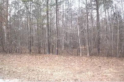 0 Martin Pond Road, Wendell, NC 27591 - Photo 3