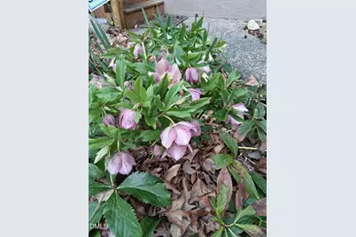 3080 Colony Road # 3080c, Durham, NC 27705 - Photo 55