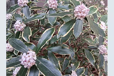 3080 Colony Road # 3080c, Durham, NC 27705 - Photo 53