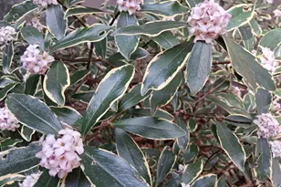 3080 Colony Rd, Durham, NC 27705 - Photo 53