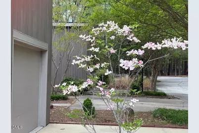 4 Wellesley Place, Chapel Hill, NC 27517 - Photo 9