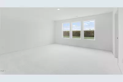 701 Painted Daisy Lane, Durham, NC 27703 - Photo 19