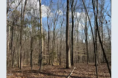 0 Birch Creek Farm Lane, Franklinton, NC 27525 - Photo 1