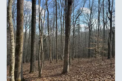 0 Birch Creek Farm Lane, Franklinton, NC 27525 - Photo 3