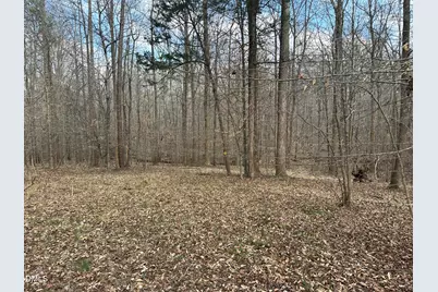 0000 Dairyland Road, Chapel Hill, NC 27516 - Photo 7