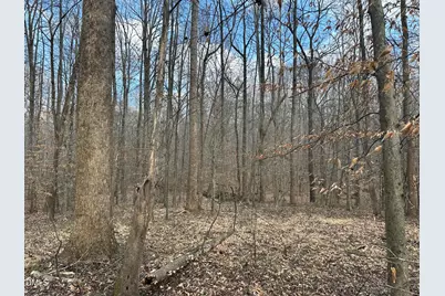 0000 Dairyland Road, Chapel Hill, NC 27516 - Photo 3