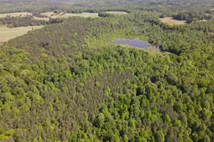 3828 Standing Pine Ln, Zebulon, NC 27597 - Photo 1