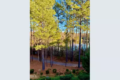 7816 Hasentree Lake Drive, Wake Forest, NC 27587 - Photo 7