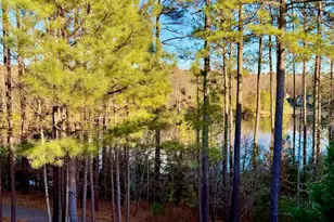 7816 Hasentree Lake Dr, Wake Forest, NC 27587 - Photo 7