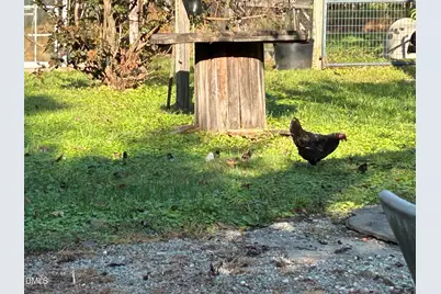 153 Ninovan Place, Rougemont, NC 27572 - Photo 17