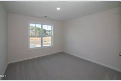 110 Mossy Bridge Court, Lillington, NC 27546 - Photo 33