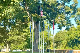 394 Pecan Vly Wy, Four Oaks, NC 27524 - Photo 29