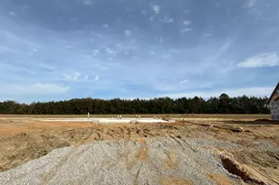 121 Juju Dr, Clayton, NC 27520 - Photo 11