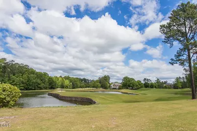 10920 Clovermill Circle, Raleigh, NC 27617 - Photo 41